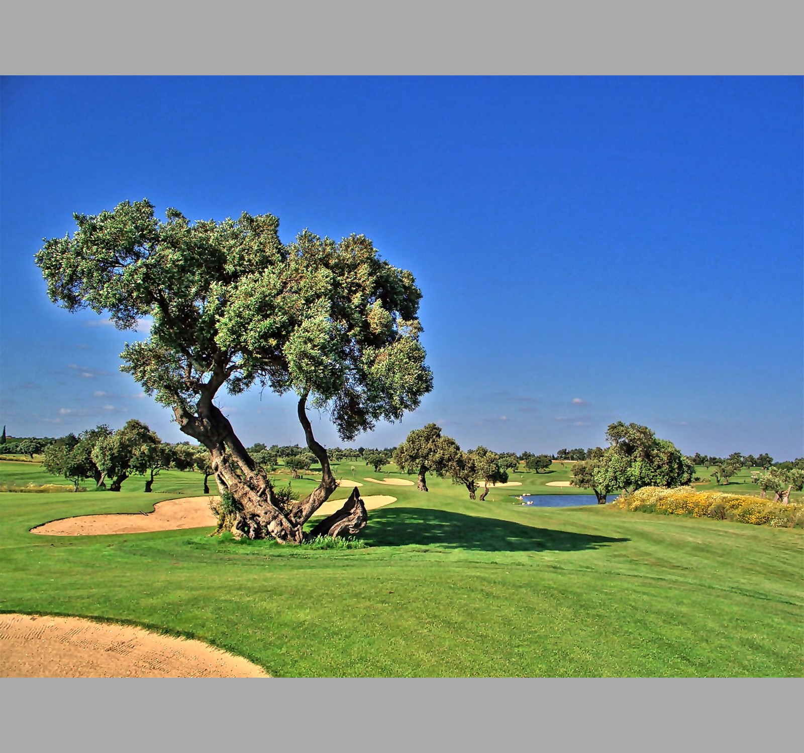 Portugal-Algarve-Golfclub-Robinson-Quinta-da-Ria-27